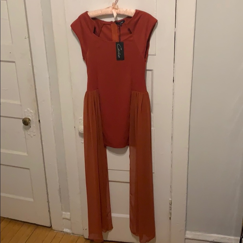 Rust Cocktail Dress - Picture 8 of 10